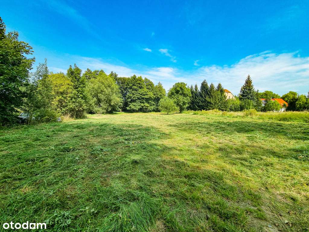 Zaciszna działka w Starym Wielisławiu-11