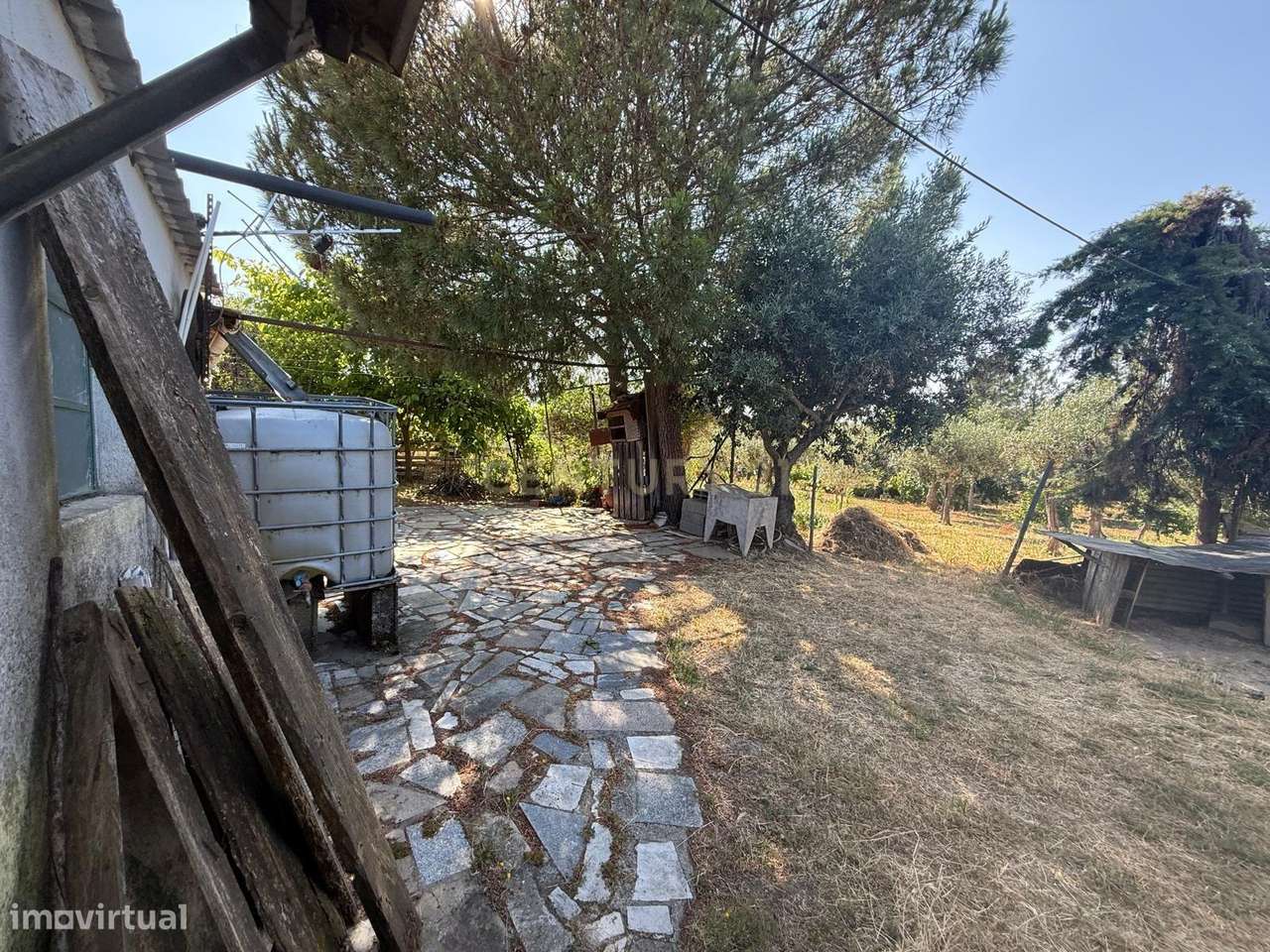 Quinta para venda, em Juncal do Campo com 2240 m2. - Grande imagem: 3/26