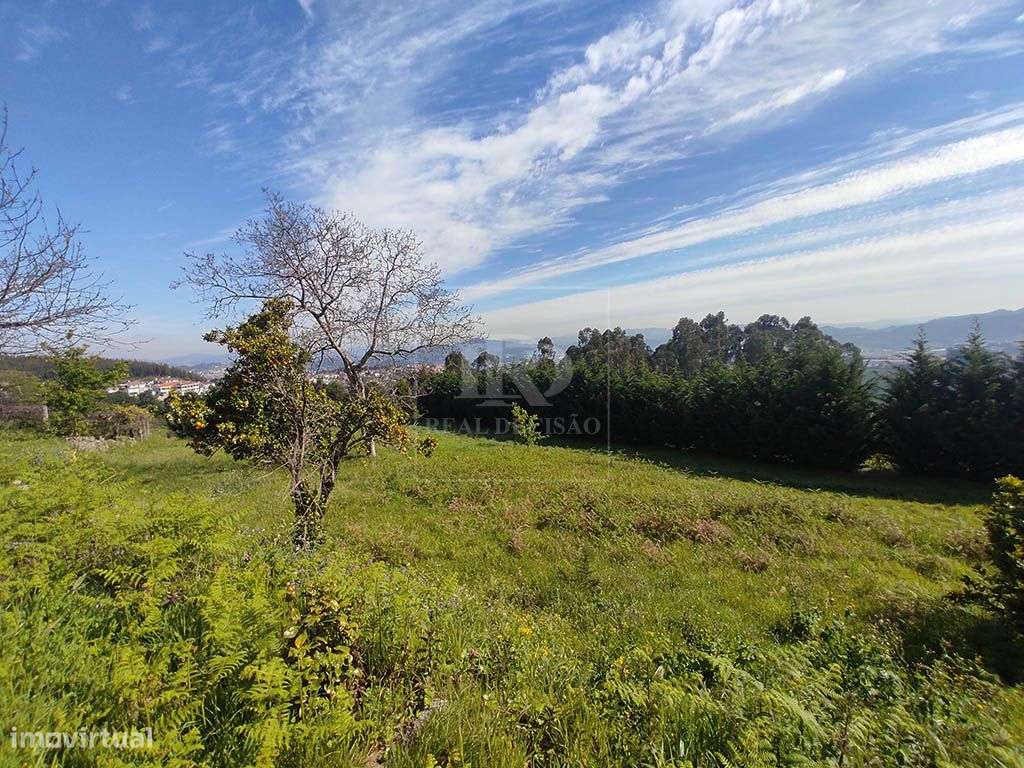 Quinta com 15000m2 em Santo Tirso-6