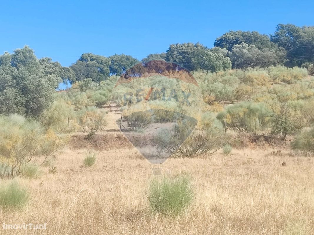 Terreno  para venda