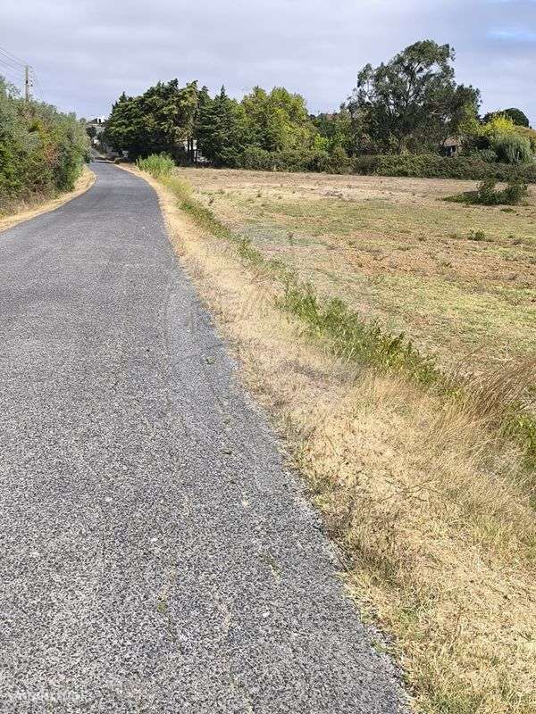 Terreno  para venda - Grande imagem: 3/8