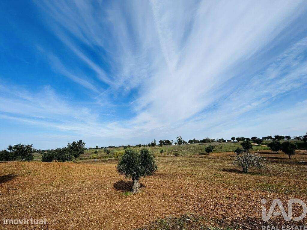 Terreno T3 em Ferreira do Alentejo e Canhestros de 178,00 m2 - Grande imagem: 5/21