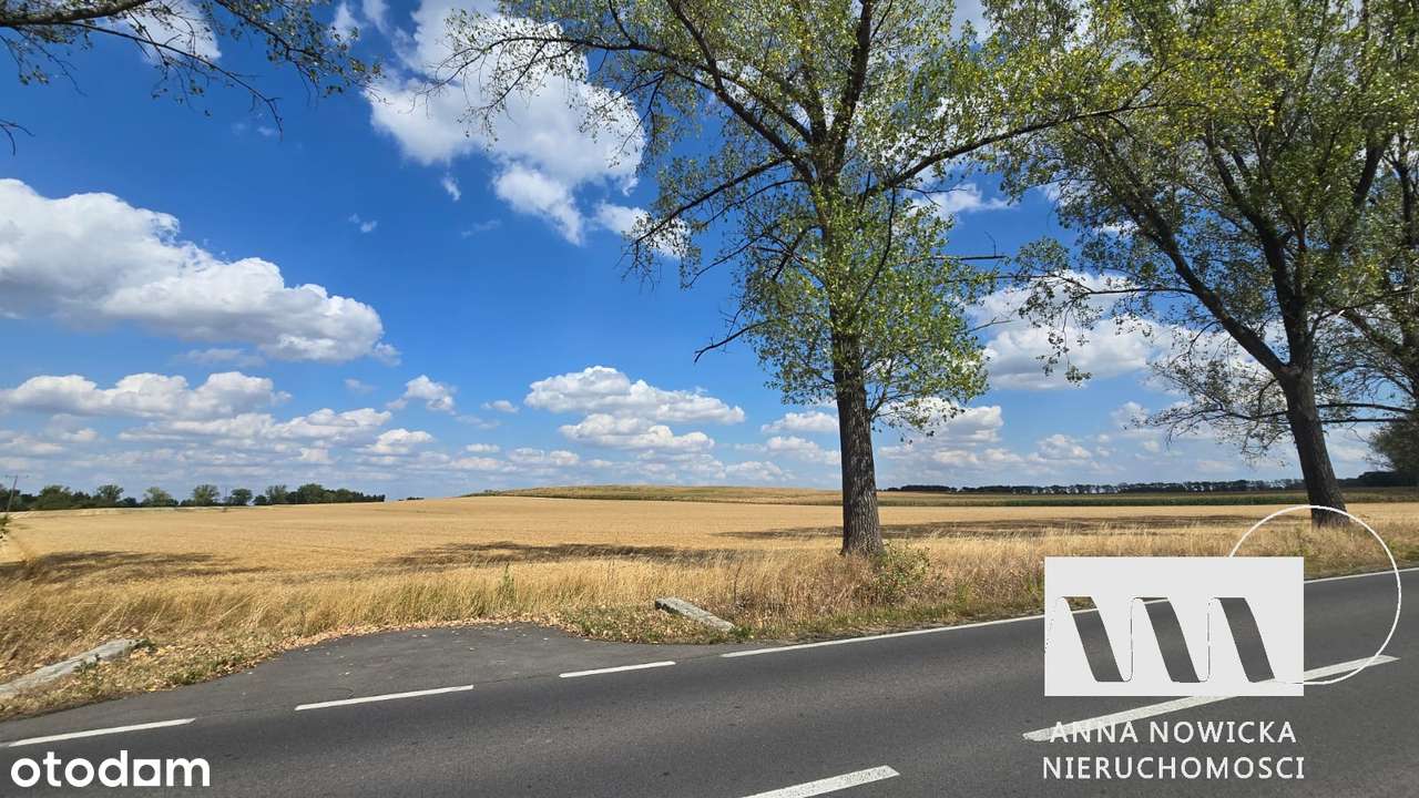 Dwie działki rolne na sprzedaż | Biedrzychów | 2,37 ha i 0,76 ha-1