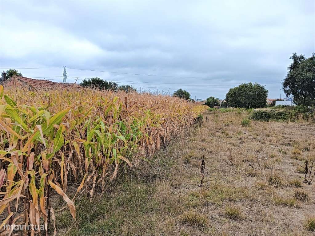 Terreno para construção de moradia - Estarreja - Grande imagem: 5/7