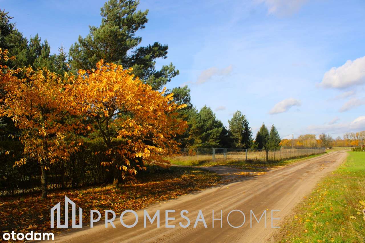 Bednary pięknie położona działka 1226m2 25min od Poznania-4