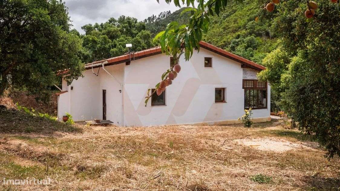 Quintinha no Vale das Cercas - Grande imagem: 4/30