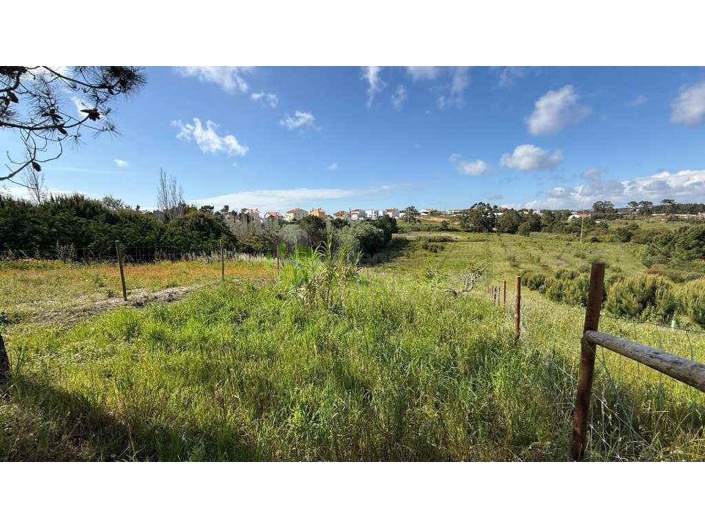 Terreno parcialmente urbano de 1.920 m2, perto de Torres Vedras-2