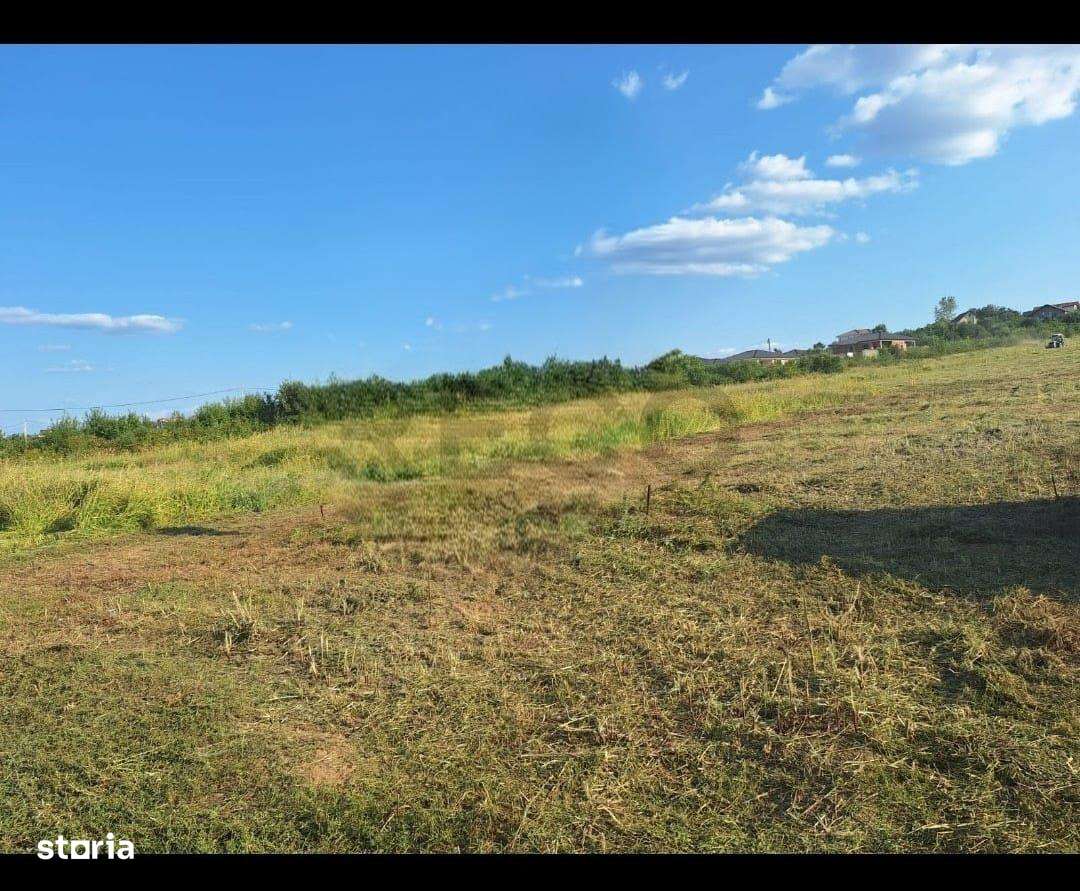 RECO Teren intravilan Paleu - Imagine principală: 1/2