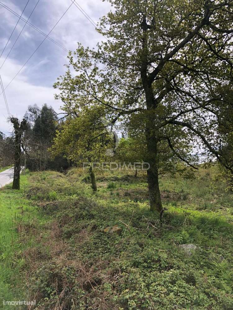 Terreno Rústico - Grande imagem: 3/9