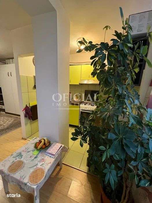 Apartament 1 Camera | 33 Mp | Gheorgheni Constantin Brancusi-4