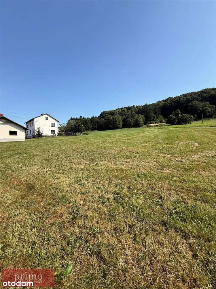 Działka, 2 580 m², Górki Wielkie-8