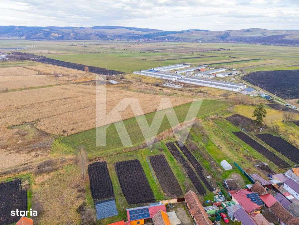 Teren 10000 mp in Extravilan, Bod, Brasov- COMISION 0%-13