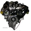 Motor Completo  Novo BMW 5 (G30) 520d xDrive - 2