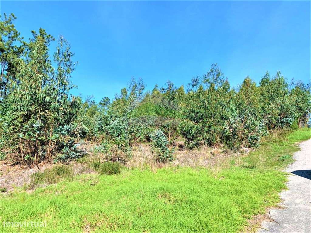 Terreno para construção 2 moradias + parcela de 1200m2 - Grande imagem: 2/9