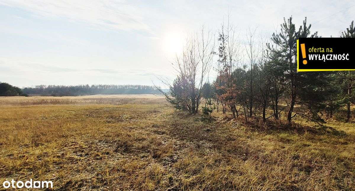 Działka blisko lasu.-6