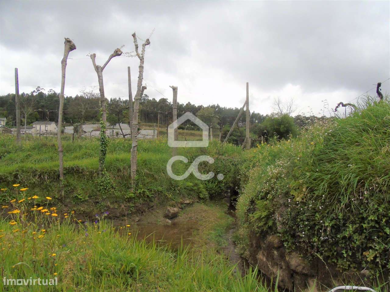 Quinta em Gominhães - Guimarães - Grande imagem: 5/42