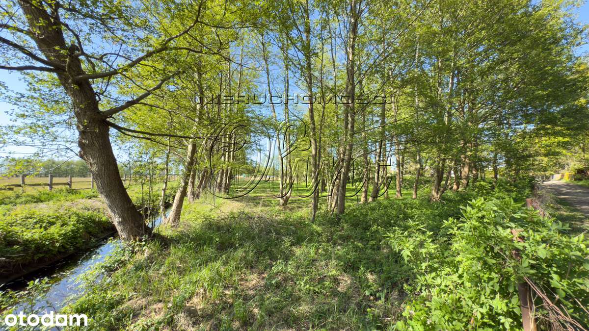 Działka z potencjałem turystycznym - Pełny obrazek: 5/8