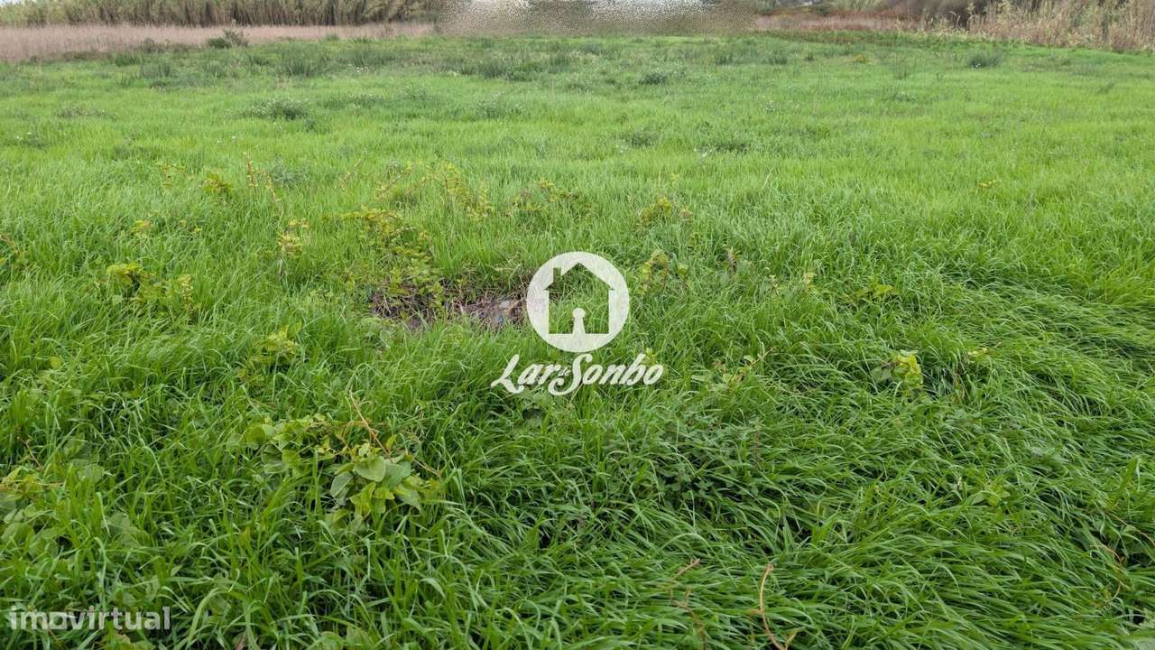 Terreno para moradias com 1.884m2 em Vilar, Vila do Conde - Grande imagem: 5/10