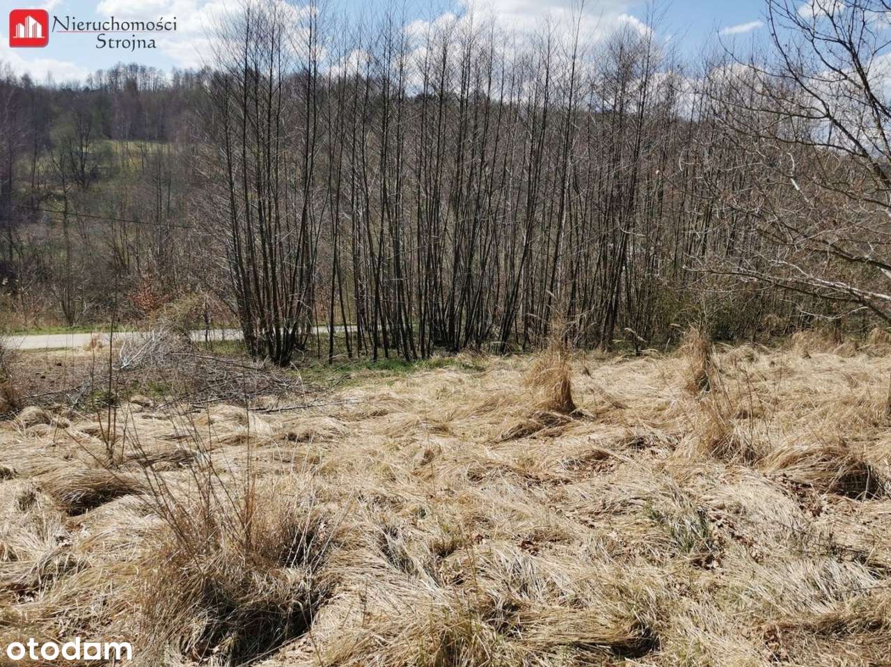 3 Malownicze działki budowlane- 6 km od Wieliczki - Pełny obrazek: 4/5