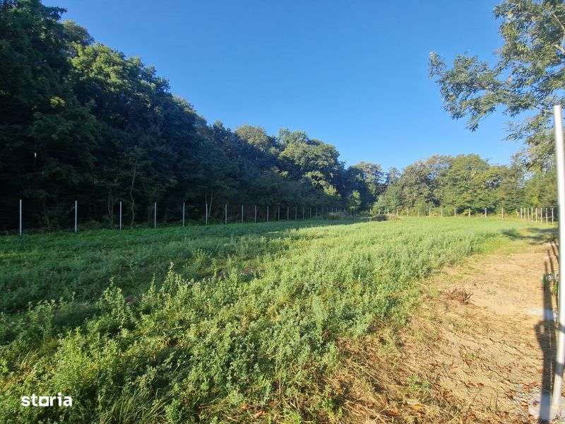 Vand teren 50 ari - Imagine principală: 5/8