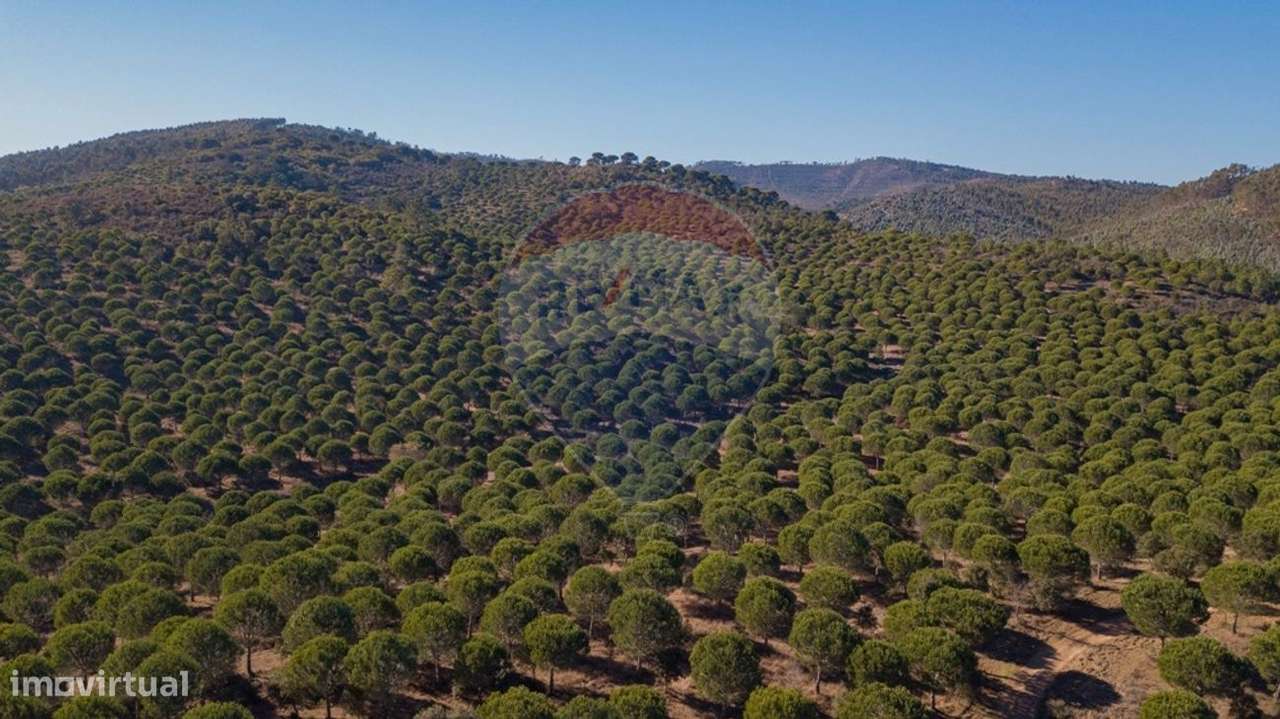 Quinta  para venda - Grande imagem: 4/19