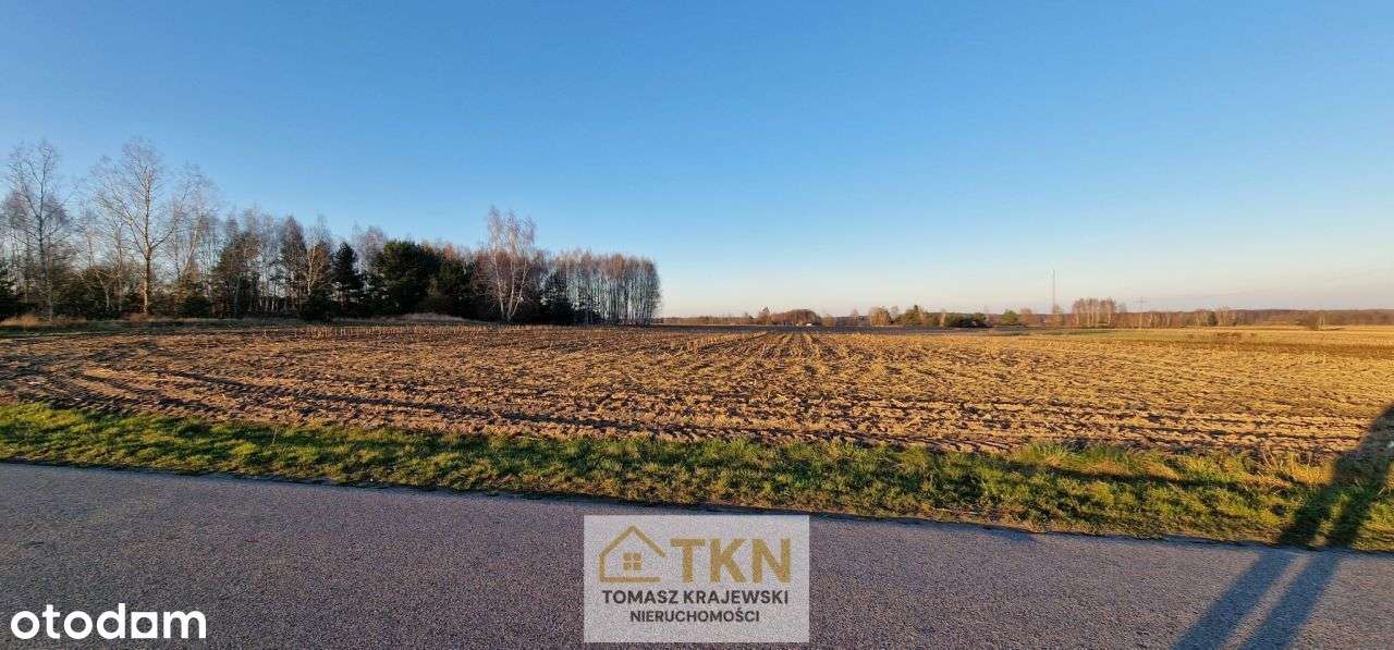 Działka budowlano-rolna 2 ha, Lipiny, gm-0