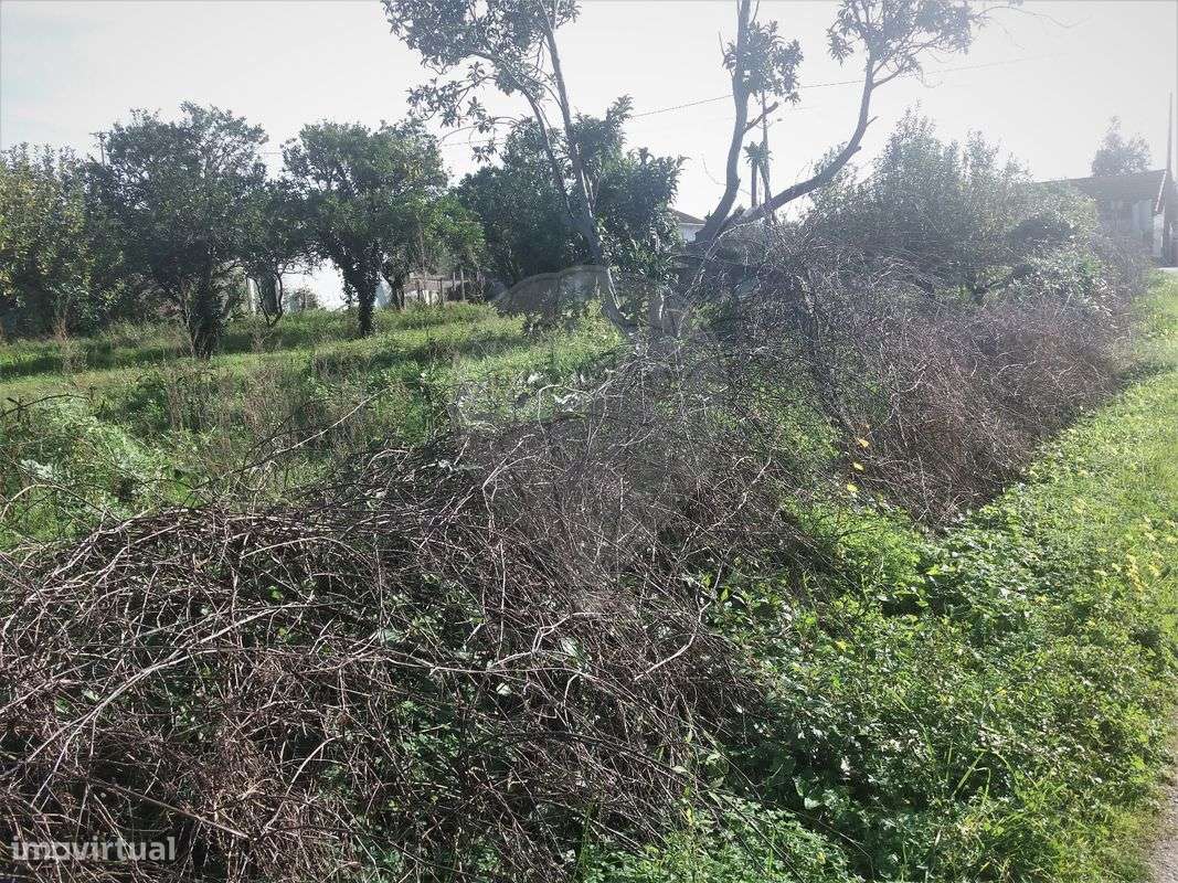 Moradia T0 para Venda - Grande imagem: 3/6