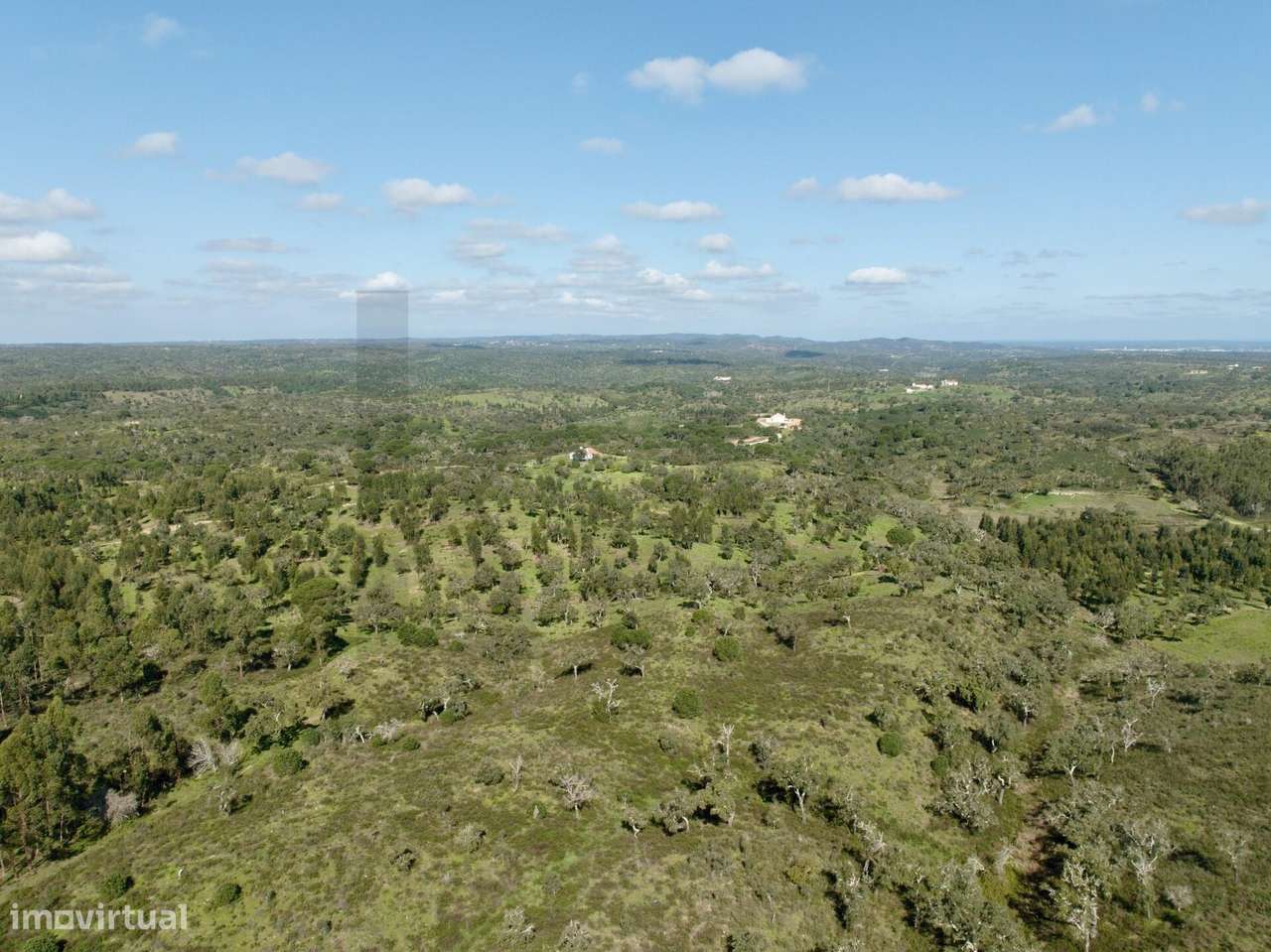 Terreno Rústico com 9,3 Hectares na Serra de Grândola – Mosqueirões - Grande imagem: 4/25