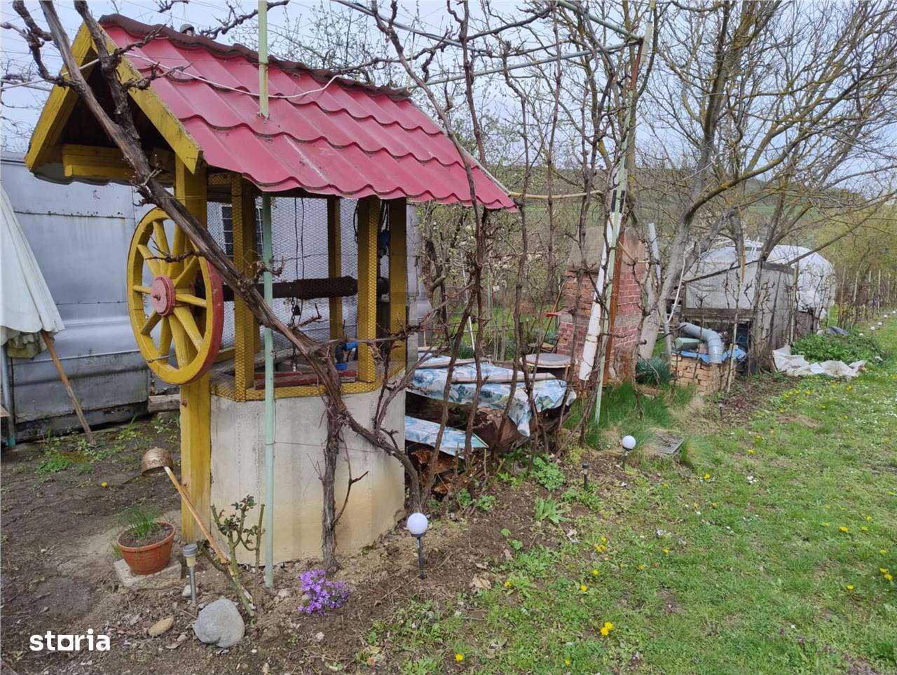 RECO Teren intravilan, Santelec - Imagine principală: 5/7