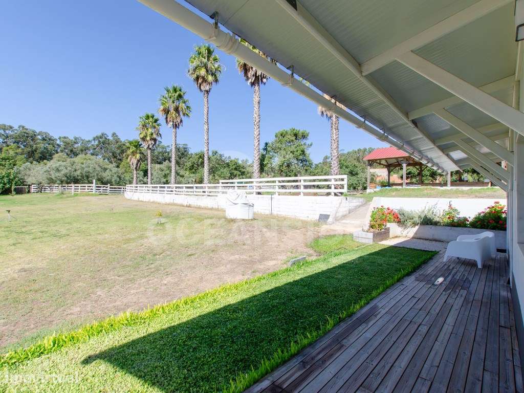 Quinta em Serradas, com terreno de 17.000m²-26