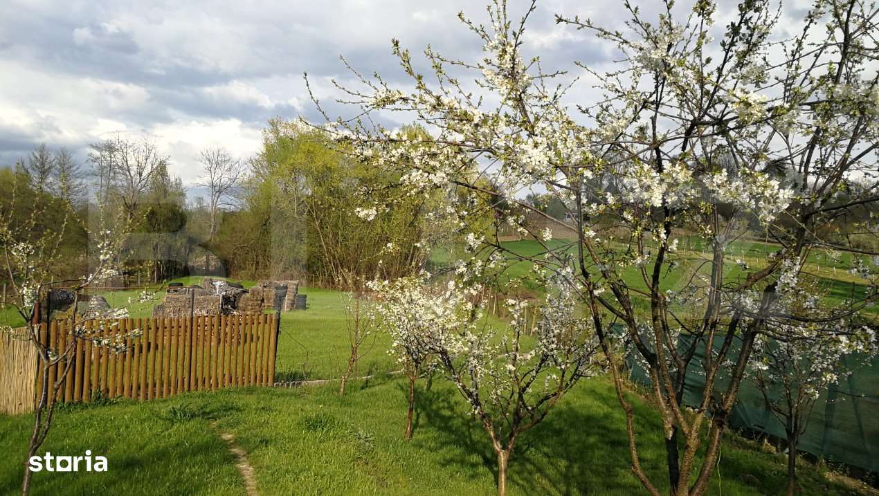 Casa de vacanta 215 mp si 4000 mp teren, zona Lelesti - Imagine principală: 4/19