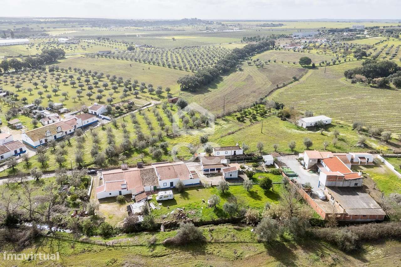 Moradia T2 de Rés do Chão c/ Terreno de 347 m² | S. Miguel de Machede,-42