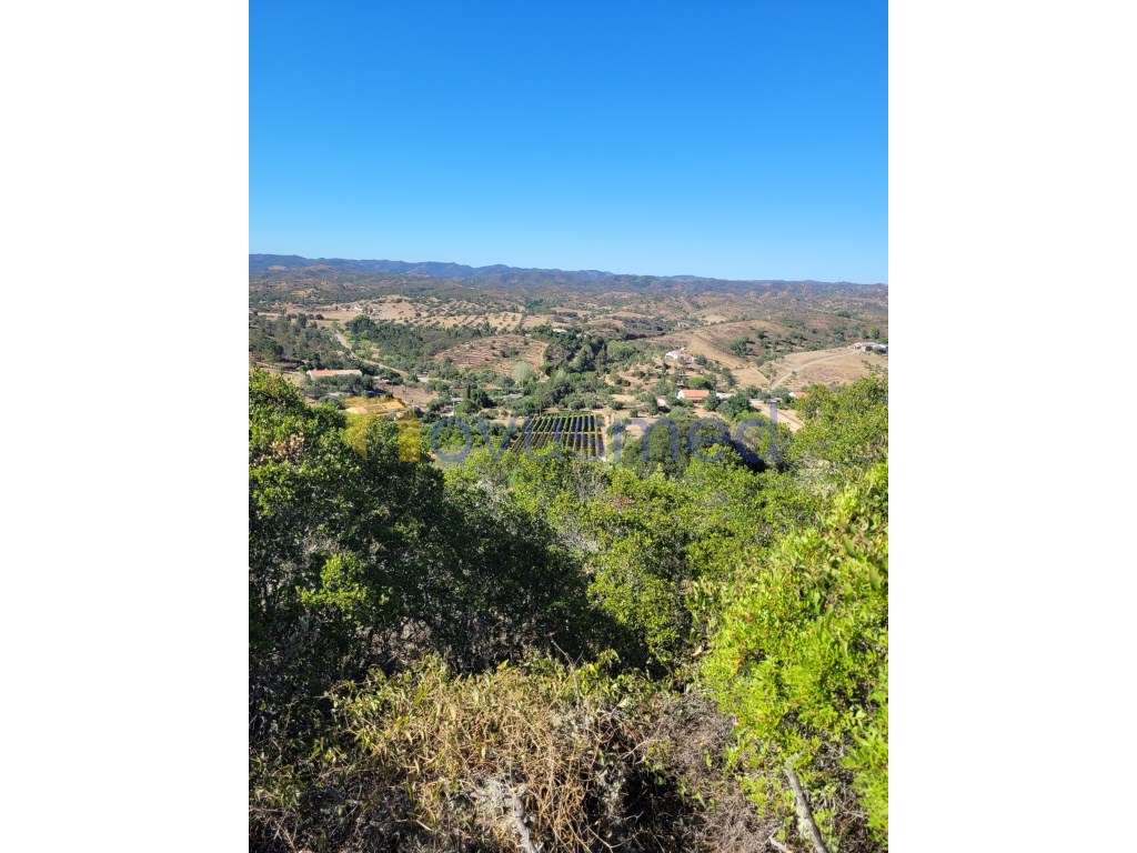 Terreno Rústico com Ruína em São Bartolomeu de Messines - Grande imagem: 5/27