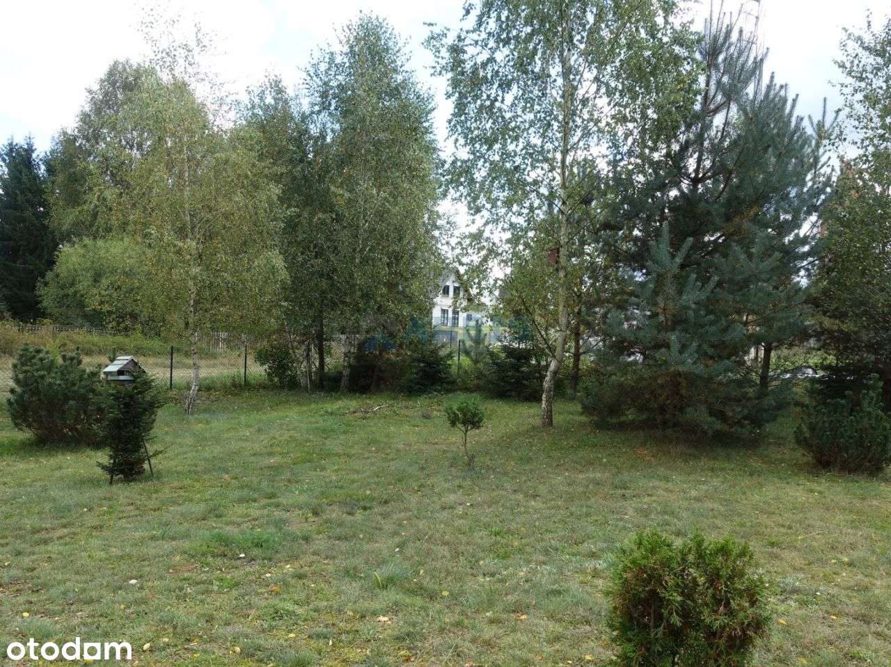 UROCZY DOMEK W OTULINIE PUSZCZY NOTECKIEJ BLISKO JEZIORO I PLAŻA-2