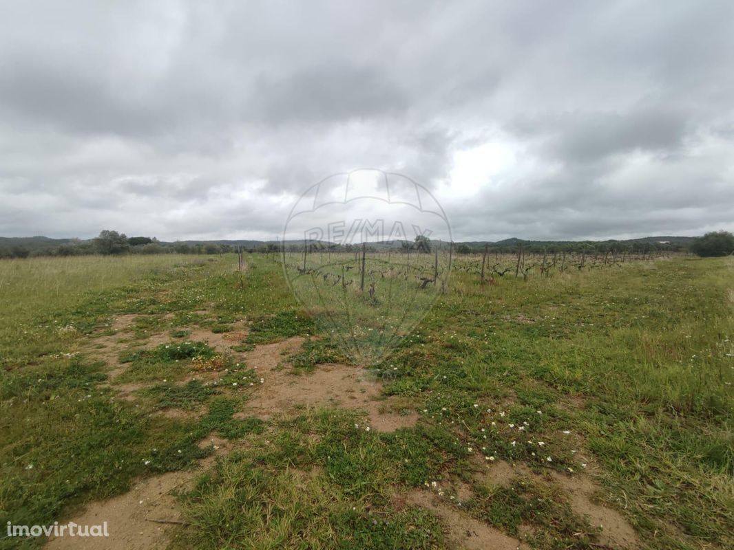 Terreno  para venda