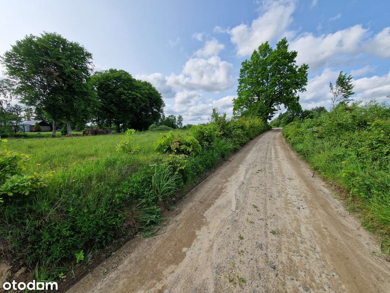 Sprzedam działki budowlane na Kaszubach - Pełny obrazek: 5/12