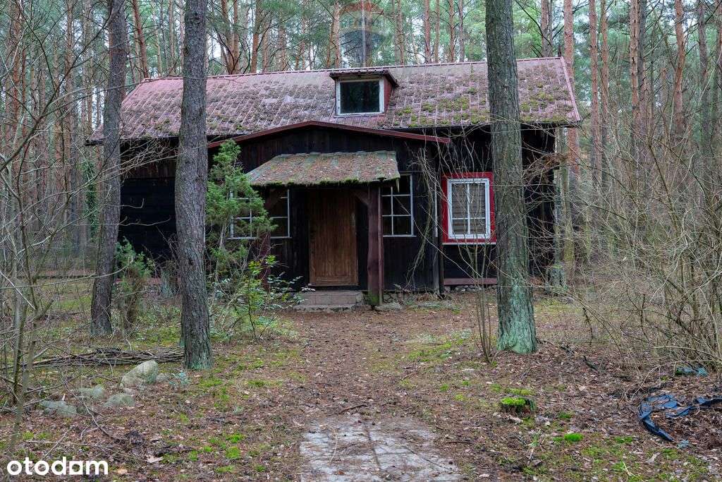 Sprzedaż/działka z Mpzp/1900 m2/Łosie- Radzymin - Pełny obrazek: 3/16