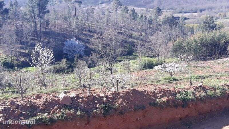 Quinta / Fundão, Pêro Viseu - Grande imagem: 5/16