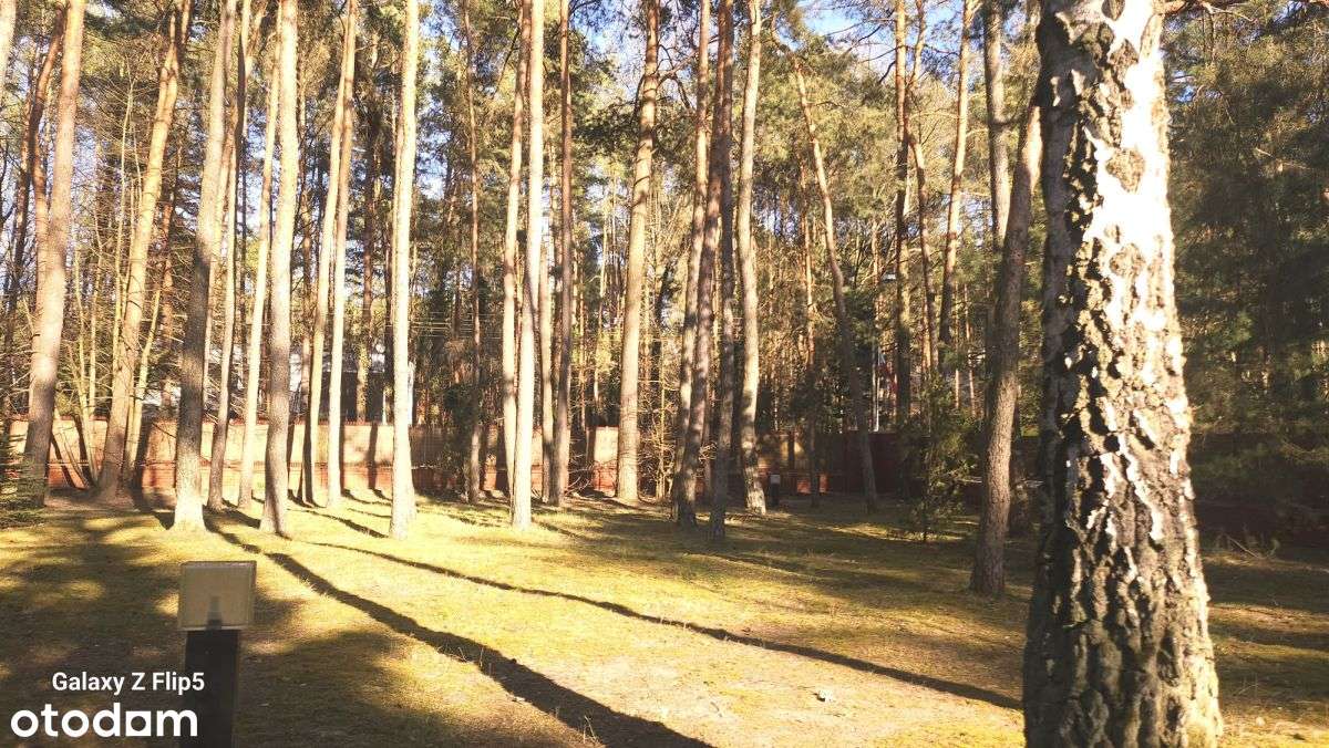 Przestronny dom Konstancin starodrzew-13