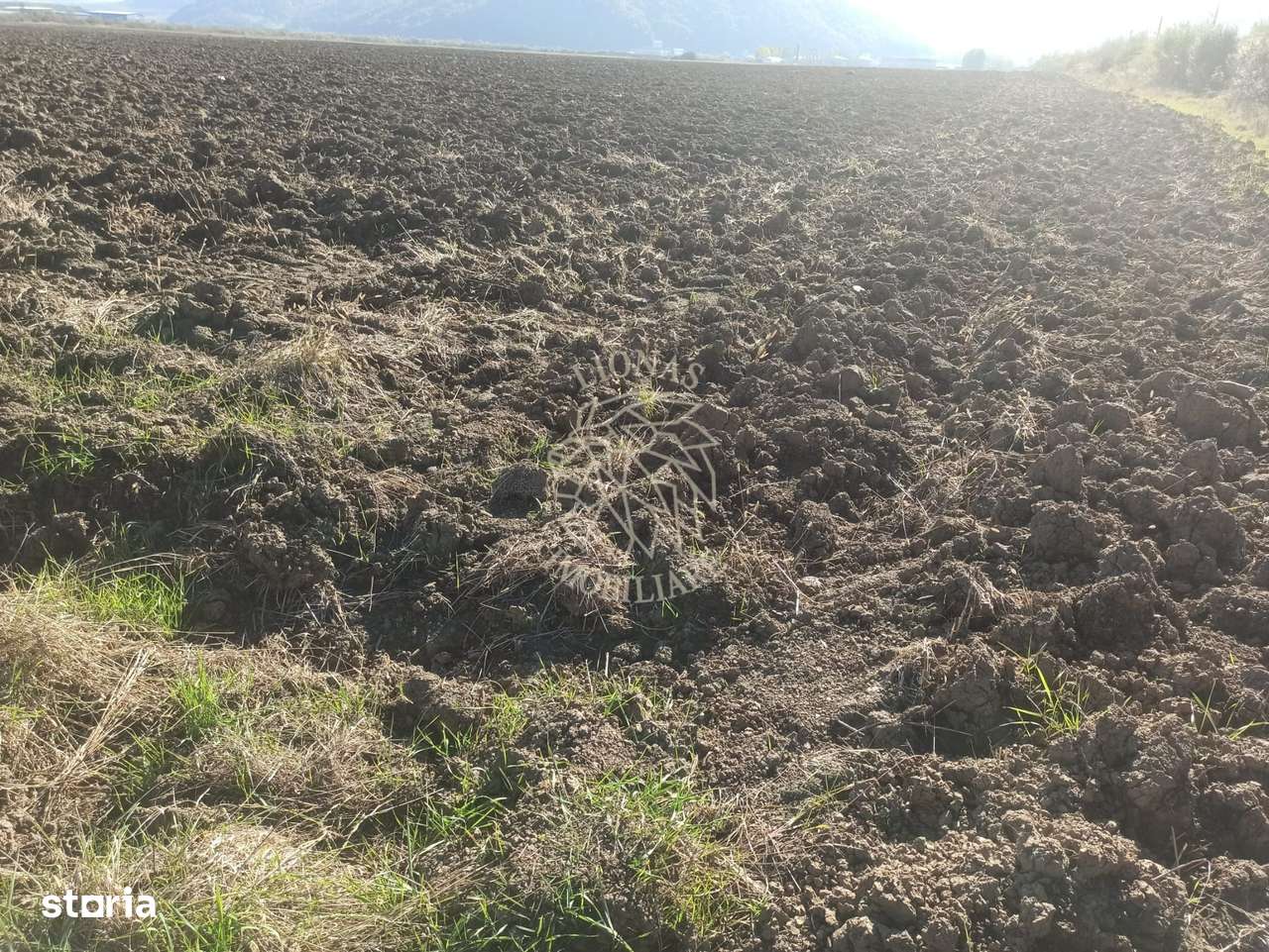 Teren 7500 mp-ideal agricultura, invetitie-Sarata - Imagine principală: 3/3