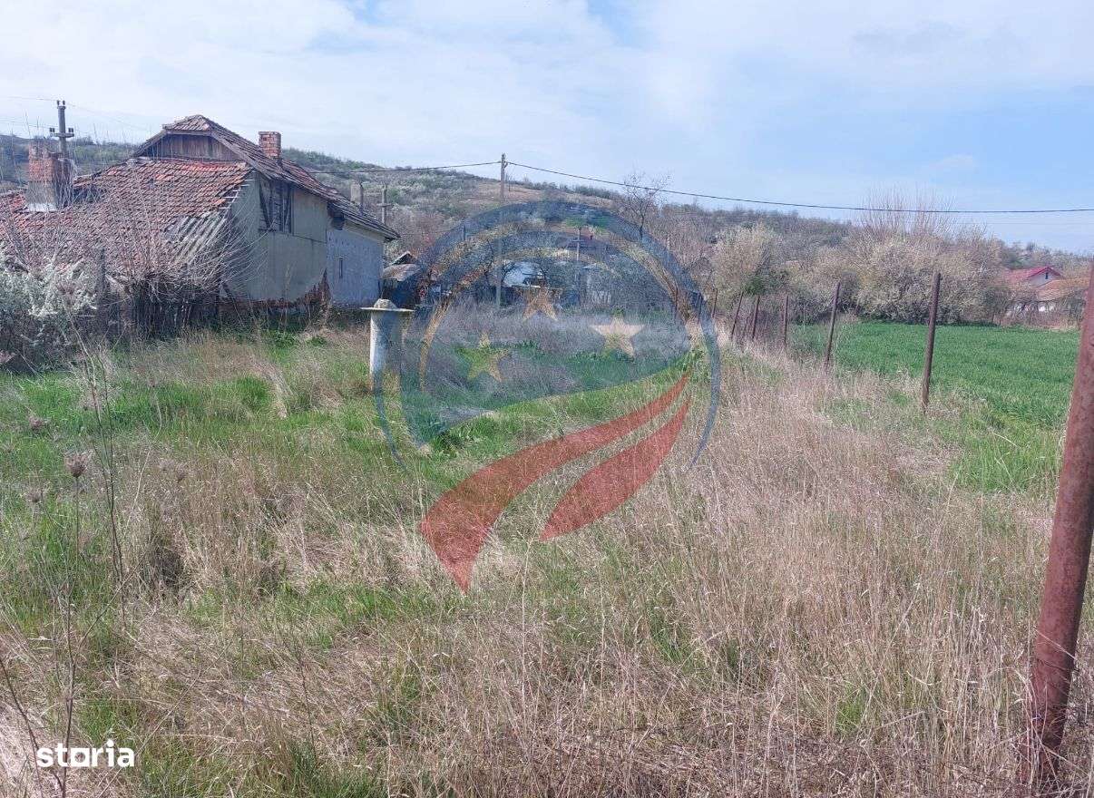 Teren de vanzare/2741 mp/Tuglui - Imagine principală: 5/5