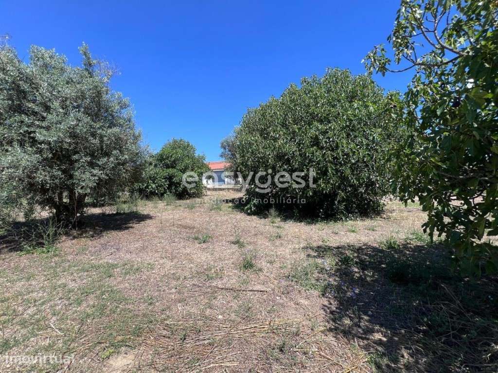 Terreno para construção bem localizado junto a cidade de Tomar - Grande imagem: 2/15