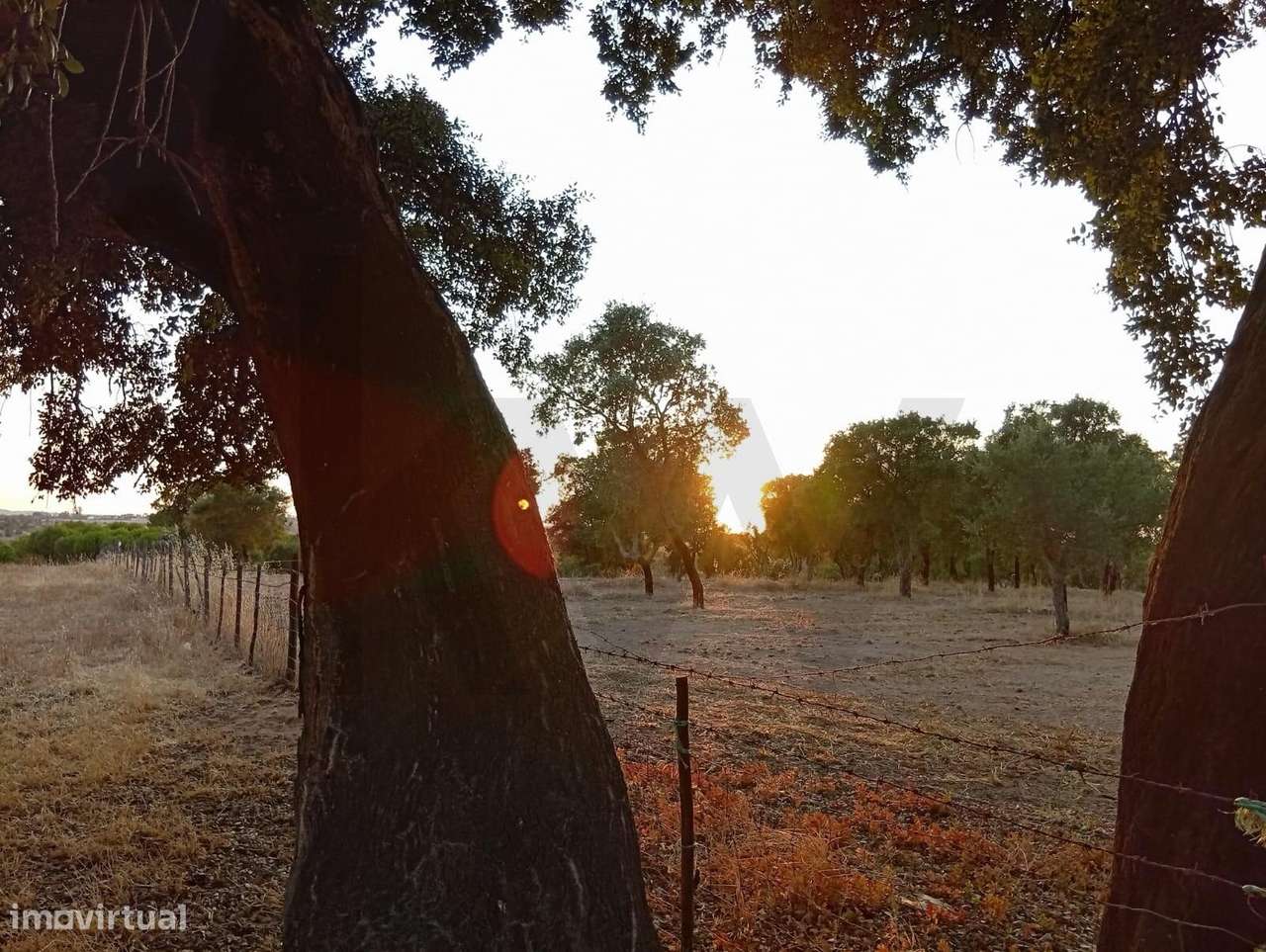 Terreno de 8 hectares em Ermidas do Sado, Santiago do Cacém - Grande imagem: 5/10