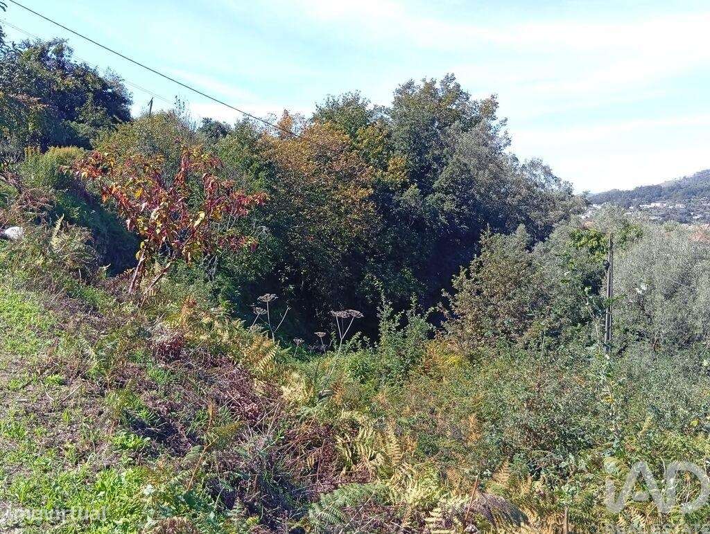 Terreno em Ribeira do Neiva de 290,00 m2 - Grande imagem: 5/19