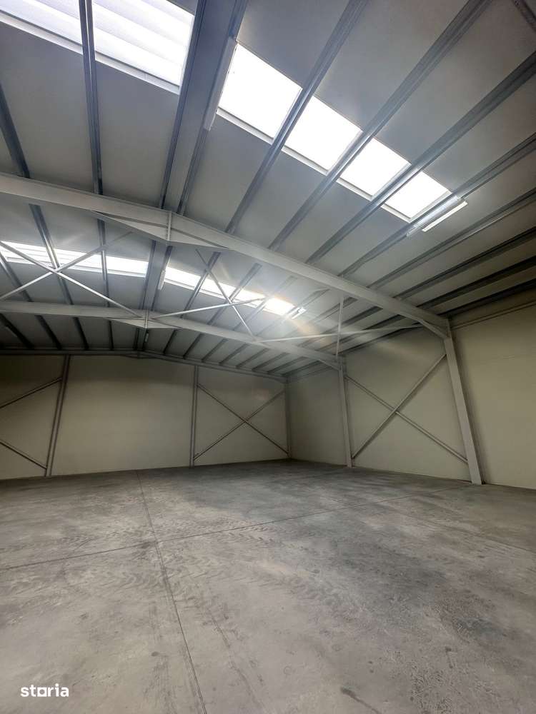 Hala productie sau depozit / Production hall or warehouse - Imagine principală: 4/11