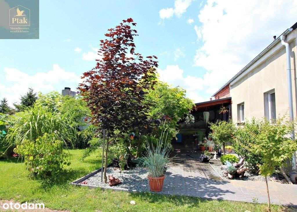 Zbąszyń-ok. dom 200m cegła, rem 2021r dz.5000m - Pełny obrazek: 5/15