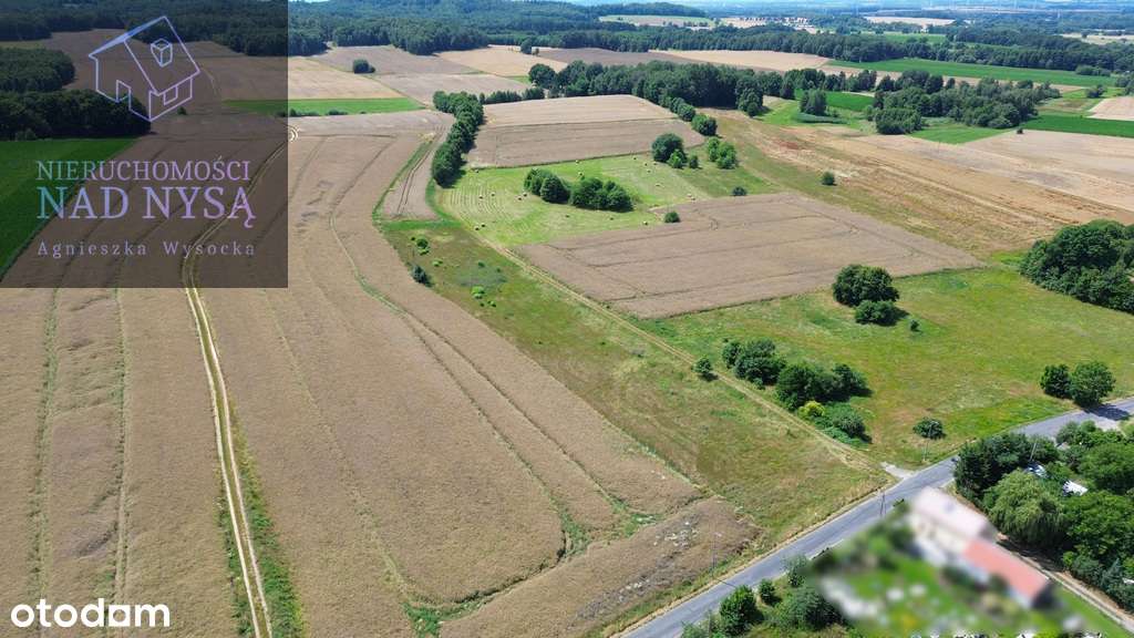 działka budowlano - rolna! pow. 7068 m2! - Pełny obrazek: 5/5