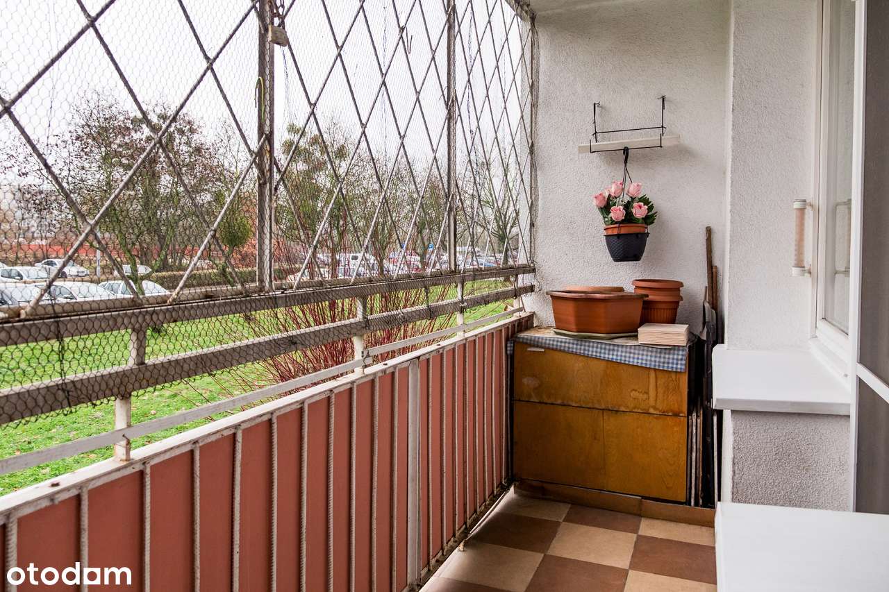 2 pokojowe/parter/osiedle B. Chrobrego 31-15