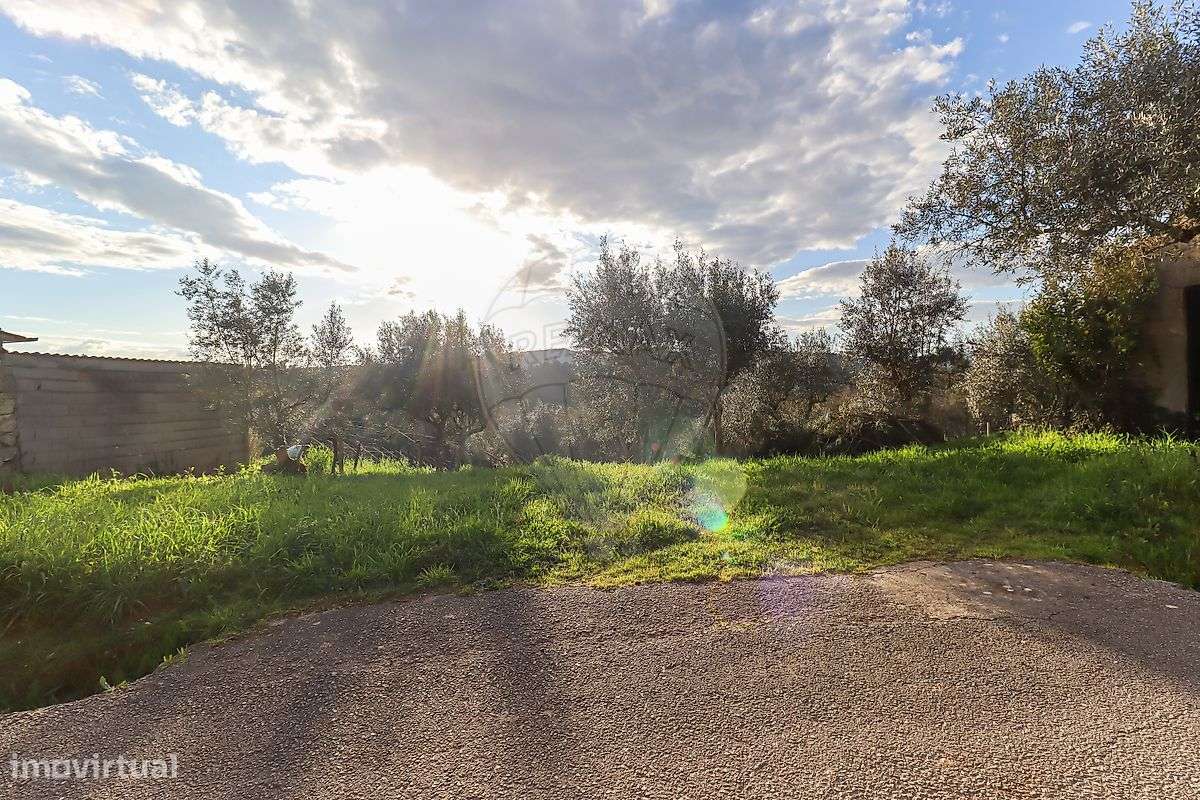 Terreno  para venda - Grande imagem: 4/6