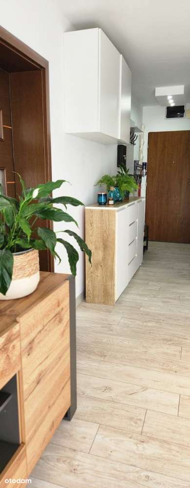 Mieszkanie 2 pokojowe Łeba - Pełny obrazek: 5/15